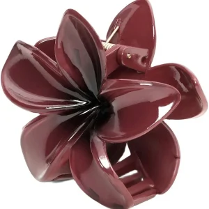 PLUMERIA BERRY BIG-Burgundy Big