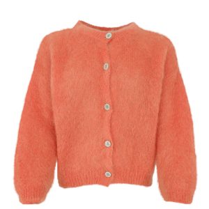 BCBJOERK KNIT CARDIGAN - Burnt Orange